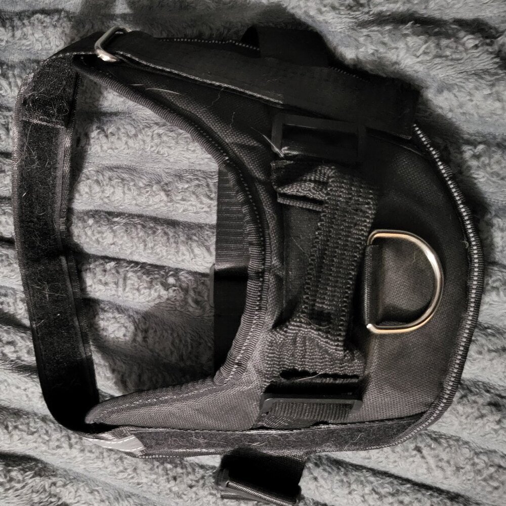 Black Dog Harness Sz M